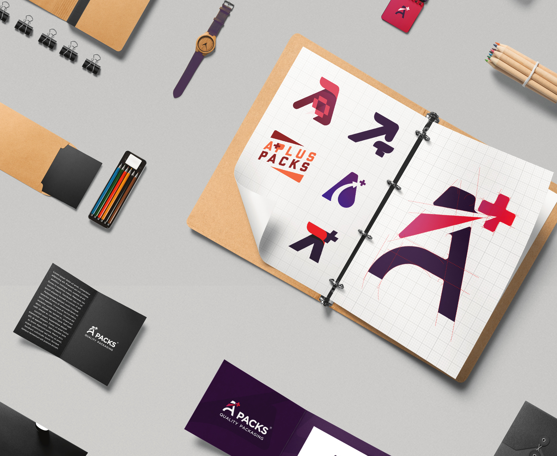 A Plus Packs - Packaging Company - Complete Corporate Branding